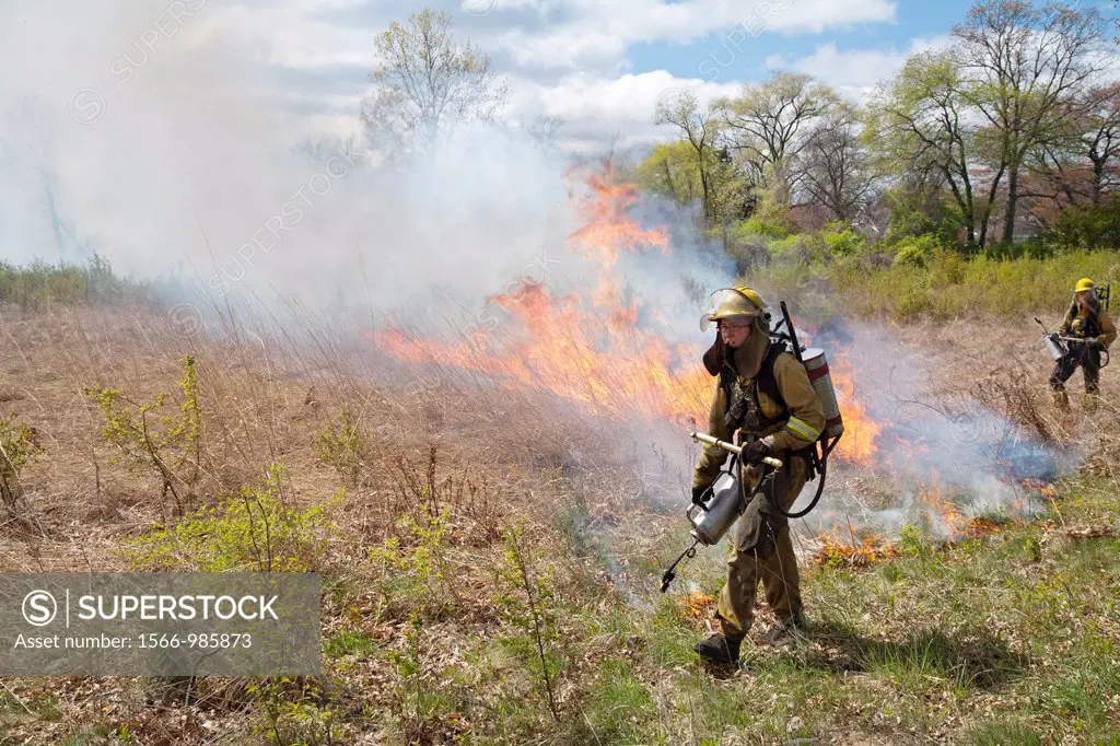 Detroit, Michigan - Woman wears protective clothing as she helps burn parts of River Rouge Park with the aim of eliminating invasive species  After th...