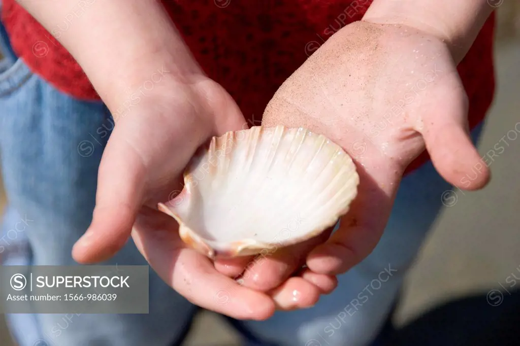 A child holds a shell in his sandy hands