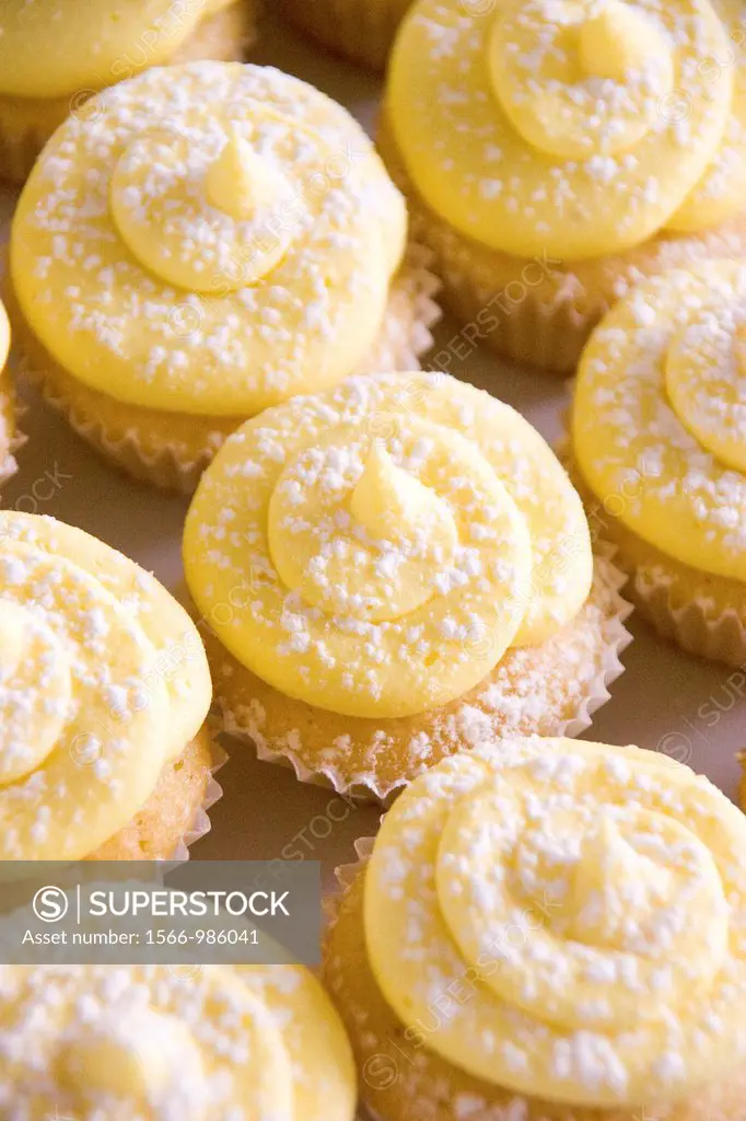 A tray of lemon cupcakes with icing and icing sugar