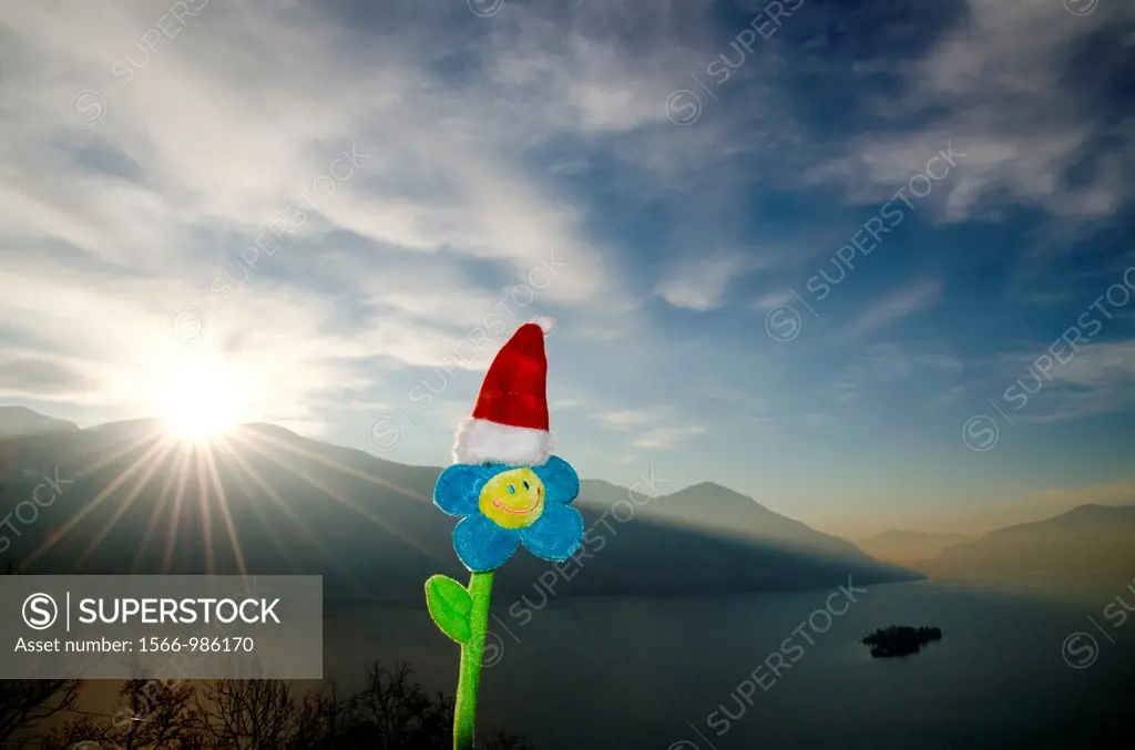 Smile flower with christmas hat and sunbeam