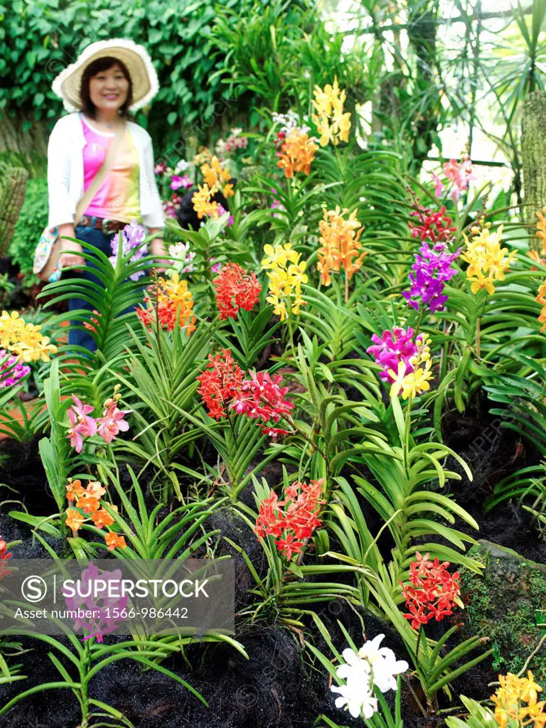 The Singapore Botanic Gardens is a 67 3-hectare 166-acre botanical garden in Singapore