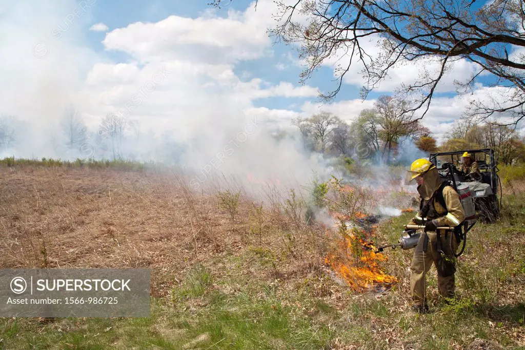 Detroit, Michigan - Woman wears protective clothing as she helps burn parts of River Rouge Park with the aim of eliminating invasive species  After th...