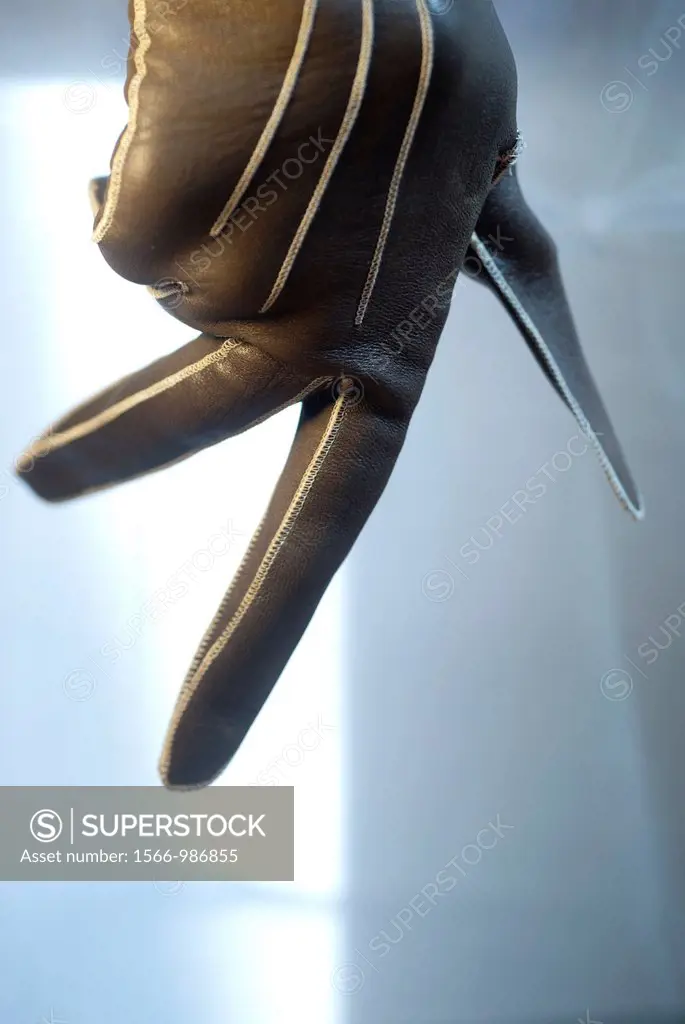 glove,object,concept