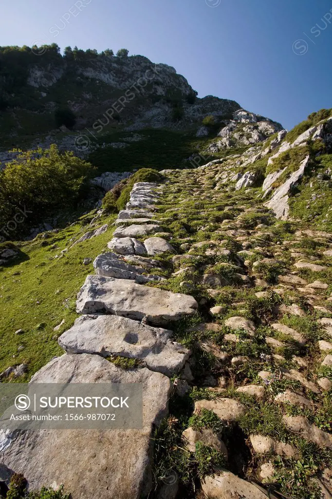 Senda del Arcediano  Parque Nacional Picos de Europa  Amieva  Asturias  Spain