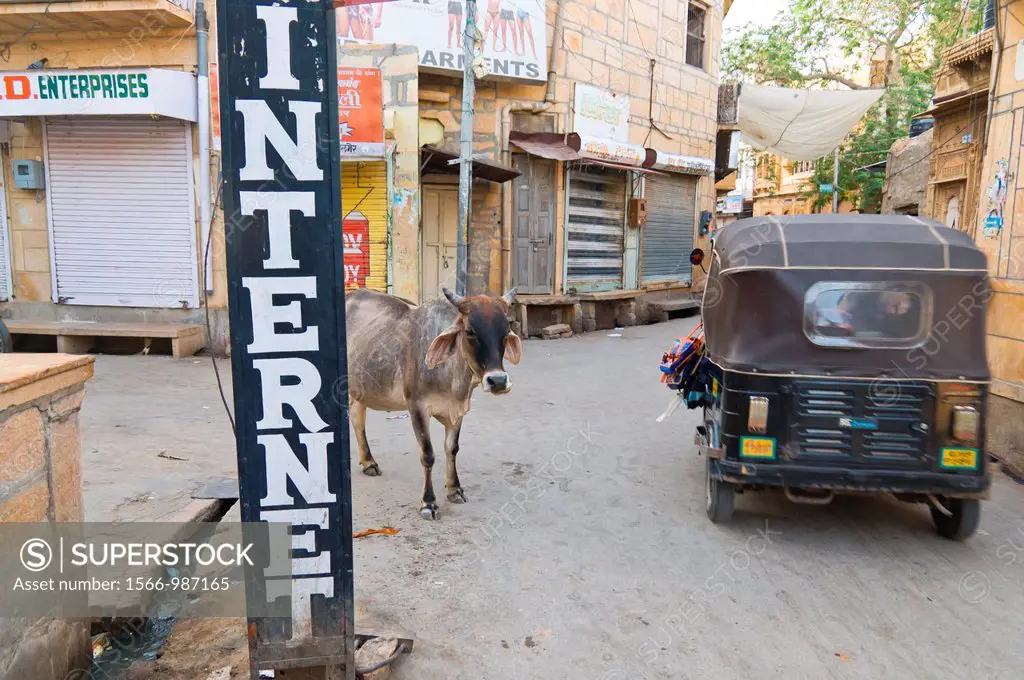 A cow stands behind a sign reading, ´INTERNET,´ as a tuktuk drives by  Jaisalmer, India