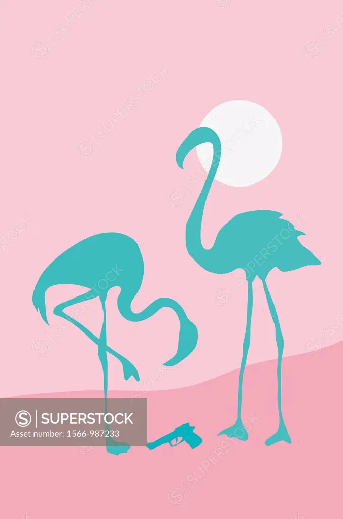 Flamingos and gun