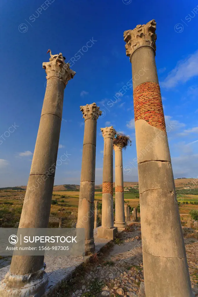 Morocco, Volubilis Archeological Site, Roman Ruins