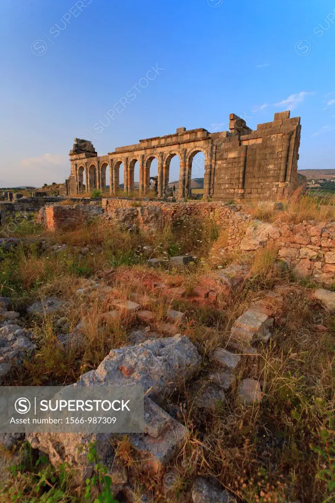 Morocco, Volubilis Archeological Site, Roman Ruins