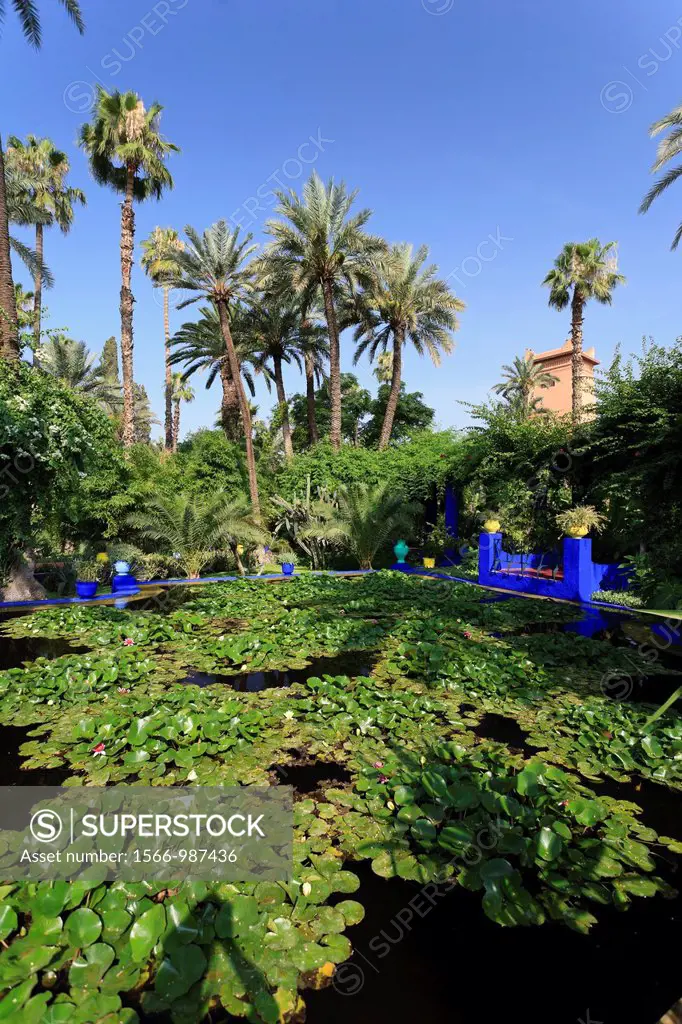 Morocco, Marrakech, Jardin Majorelle