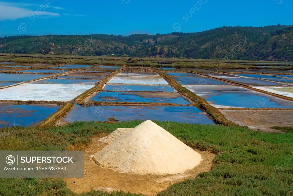 Salt production, Cahuil coast, Pichilemu, Chile.
