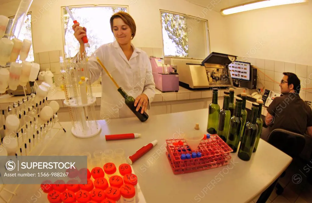 France, Midi Pyrenées, Gers, Laboratory at the winery of the ´Domaine de Tariquet Wines and Armagnac estate´, near Eauze