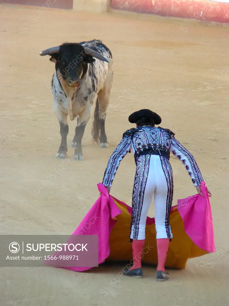 Malaga Spain  Bullfighter performing a task in the bullring Malagueta