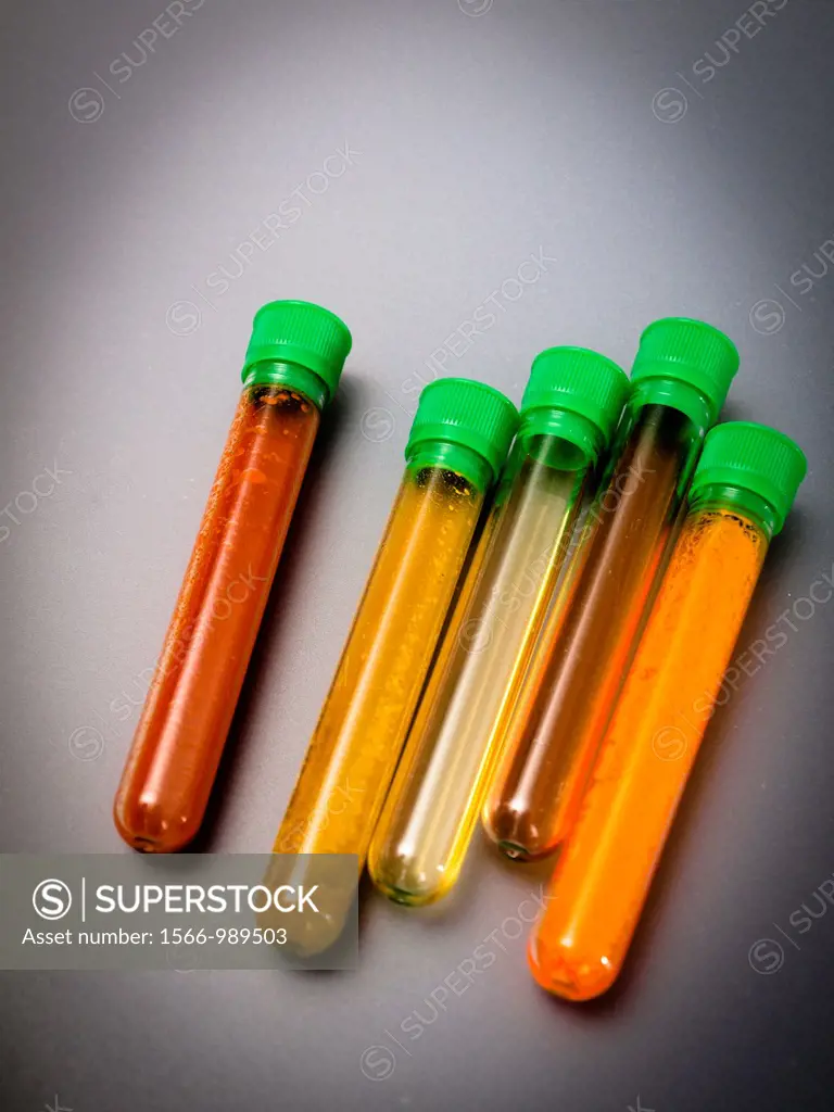 Spices inside test tubes to analyze.