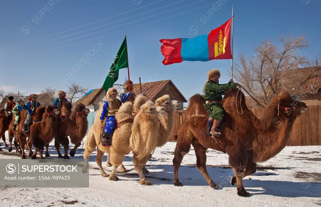 Bactrian camels, Grand Parade, ´ festival of a thousand camels´ Bulgan, winter in Gobi desert, Mongolia