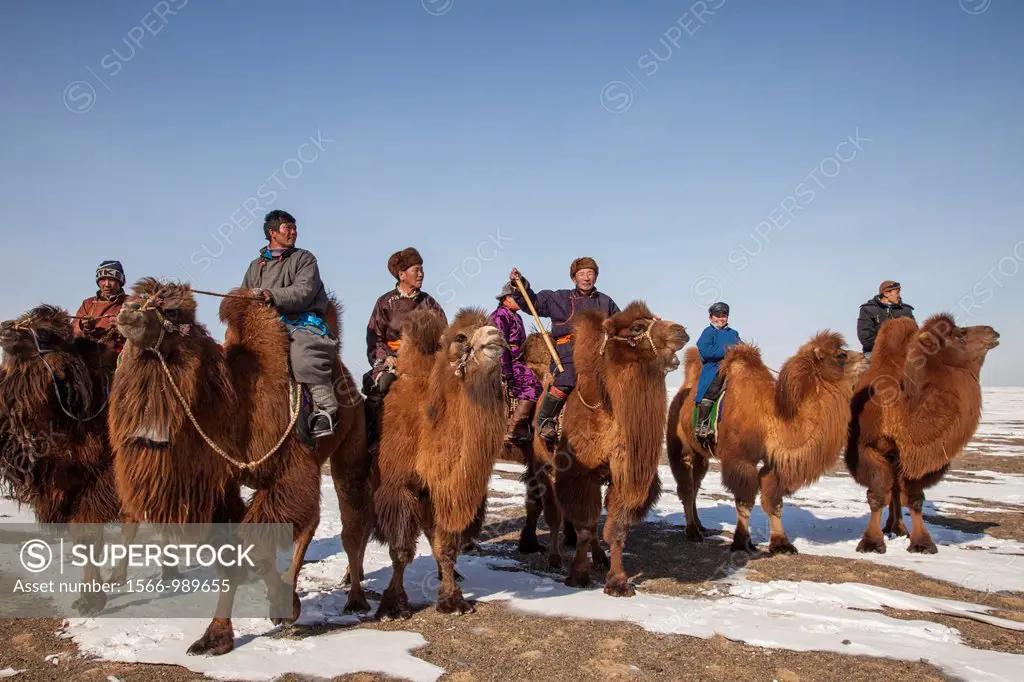 Spectators, Bactrian camel race, 25km across winter landscape of Gobi desert during Bulgan´s ´festival of a thousand camels´ , Mongolia