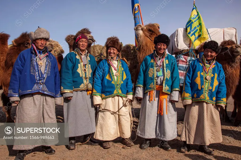Team at end of Bactrian baggage loading competition during Bulgan´s ´festival of a thousand camels´ , Gobi desert, Mongolia