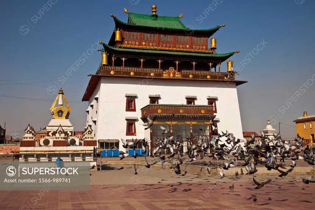 Pigeons take to the air, Ganden Buddhist monastery, Ulan Baatar, Mongolia
