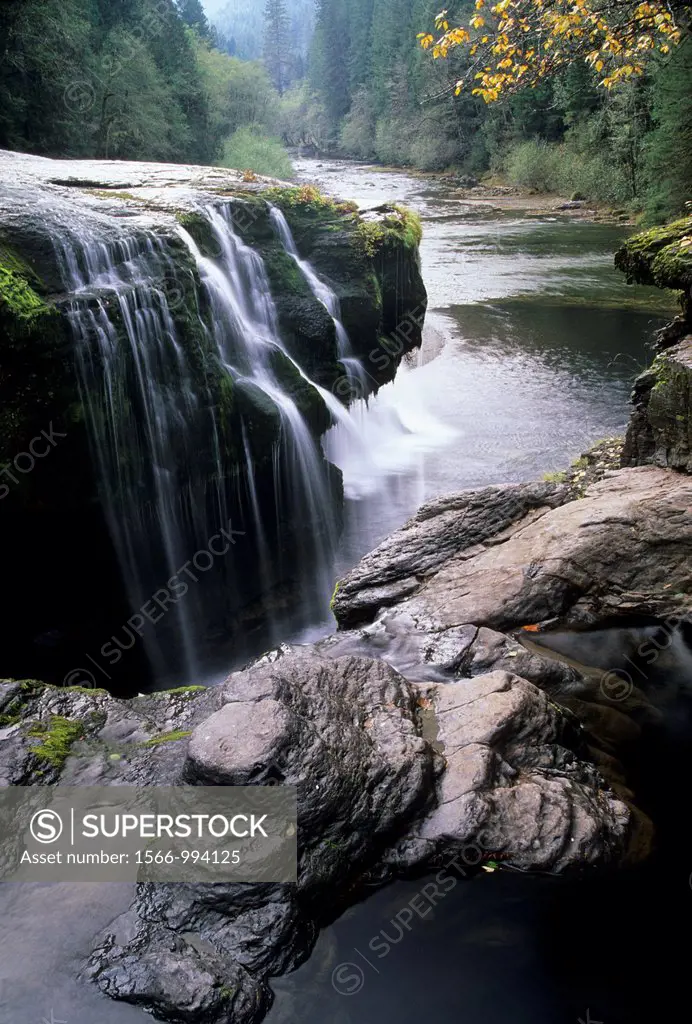 Lower Lewis River Falls, Gifford Pinchot National Forest, Washington