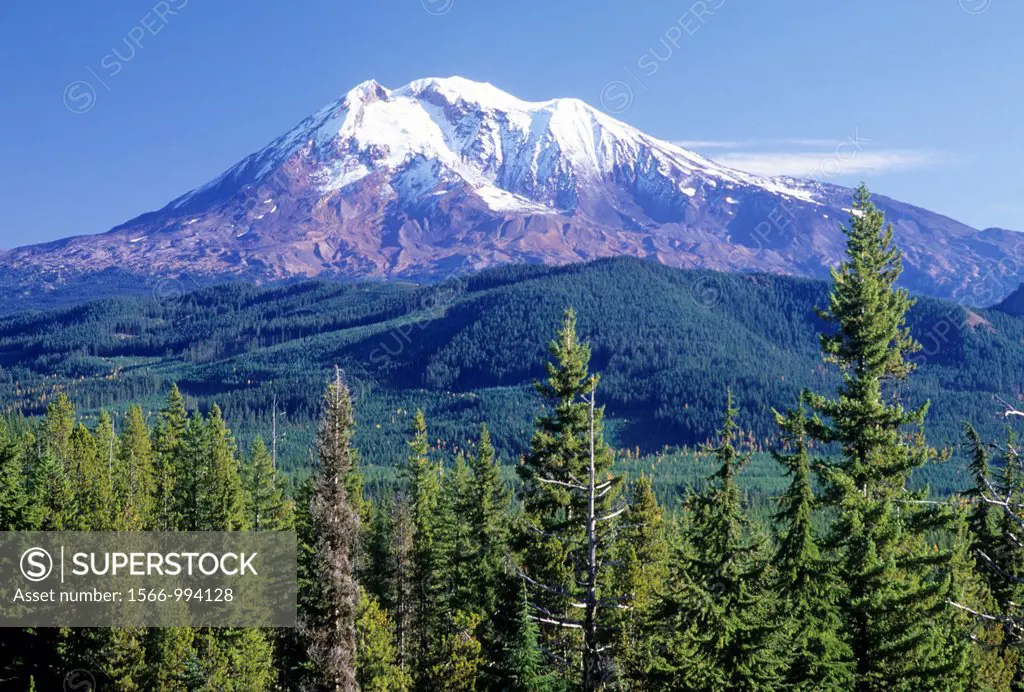 Mt Adams view from Indian Viewpoint, Gifford Pinchot National Forest, Washington