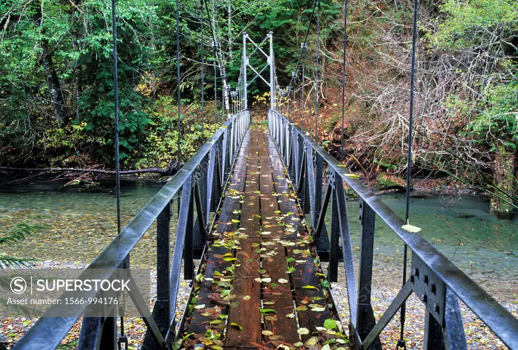 Ohanapecosh River bridge on Grove of the Patriarchs Trail, Mt Rainier National Park, Washington