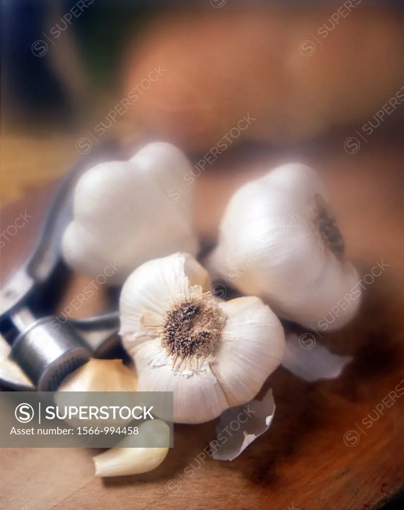 Head and cloves of garlic