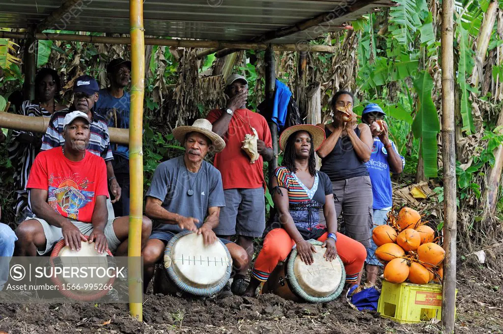 musicians giving rhythm for collective plowing of a field lasso-te in Creole language, Fonds-Saint-Denis, Martinique, french island overseas region an...