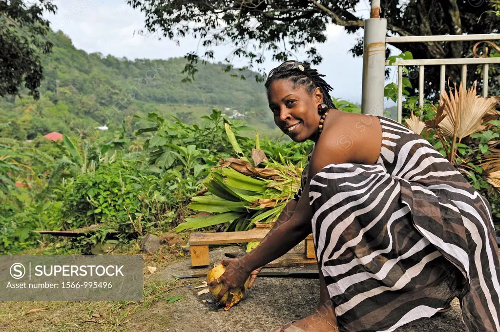 young woman opening a coconut, Fonds-Saint-Denis, Martinique, french island overseas region and department in the Lesser Antilles in the eastern Carib...