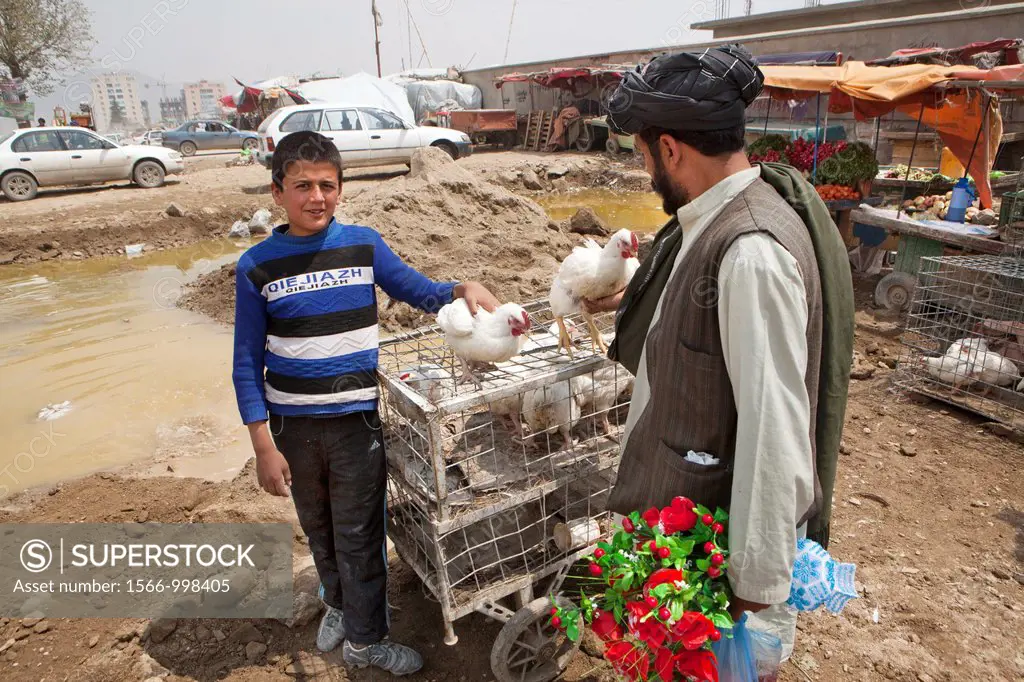 chicken sales man in kabul, afghanistan