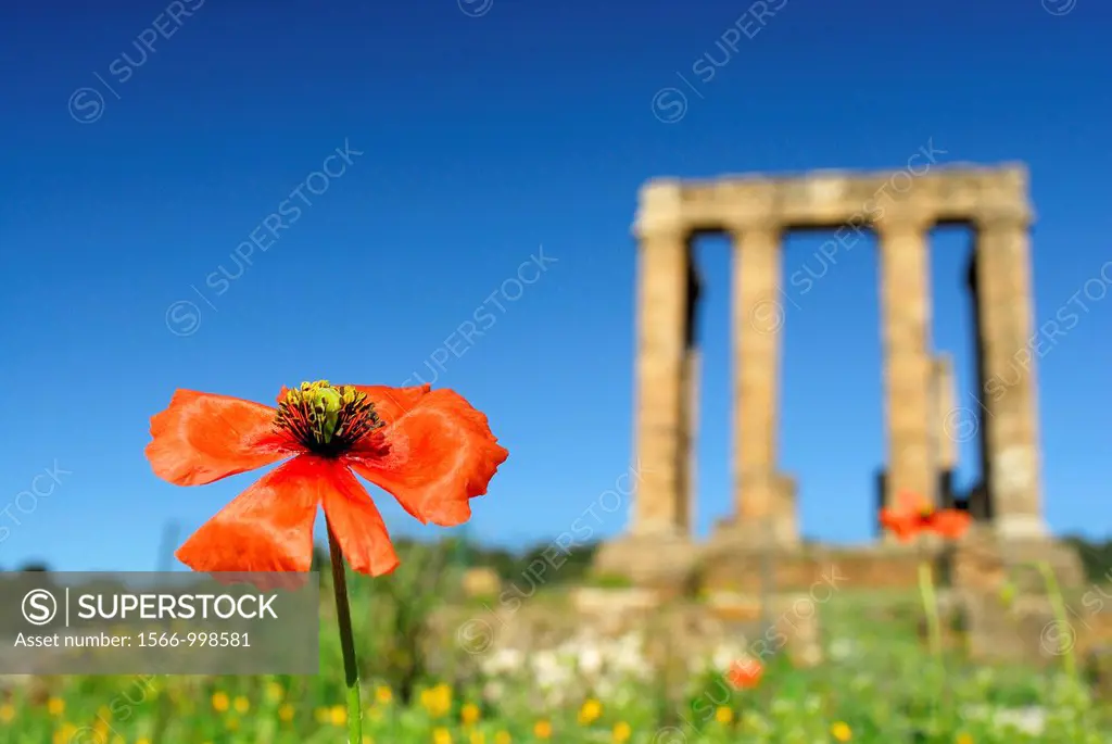 Temple of Antas near Fluminimaggiore, Iglesias province, Sardinia, Italy