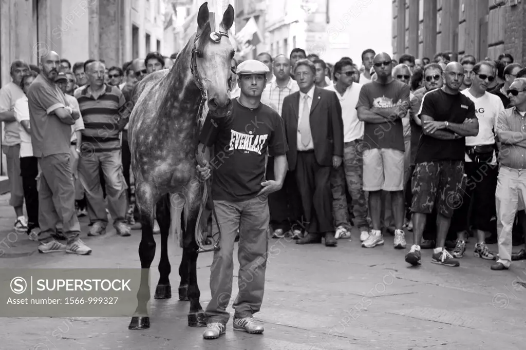 A horse and Contrada wait to enter the Piazza del Campo, The Palio, Siena, Italy