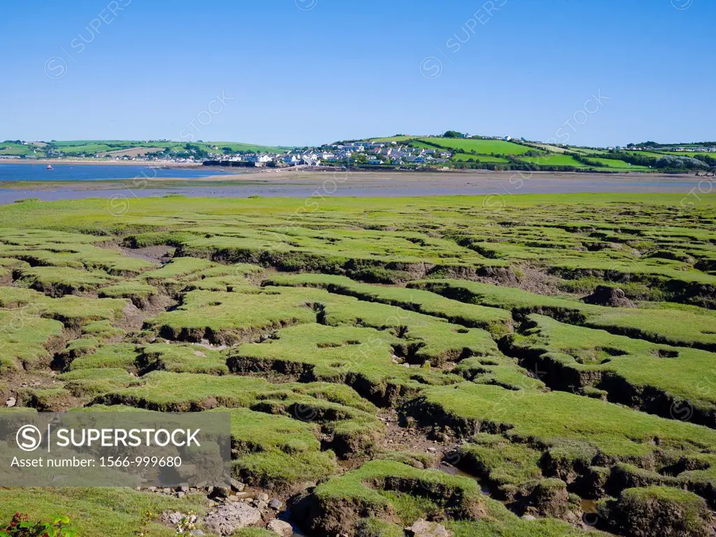 Appledore viewed from Northam Burrows Country Park across the Skern mudflats, Devon, England, United Kingdom