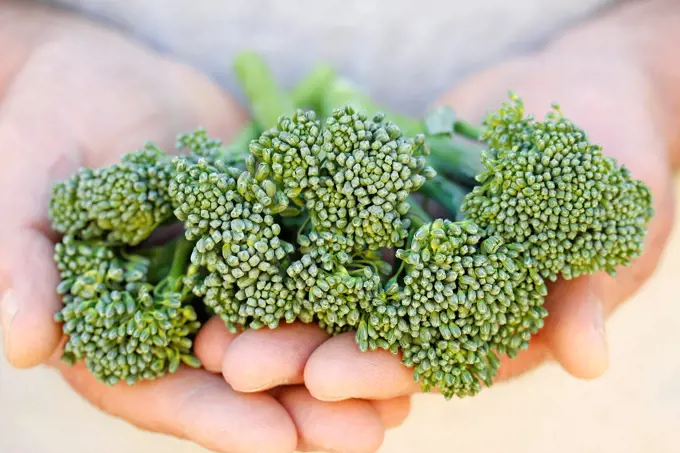 Bimi, healthy broccoli variety.