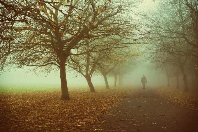 Man walking away in misty caountryside road.