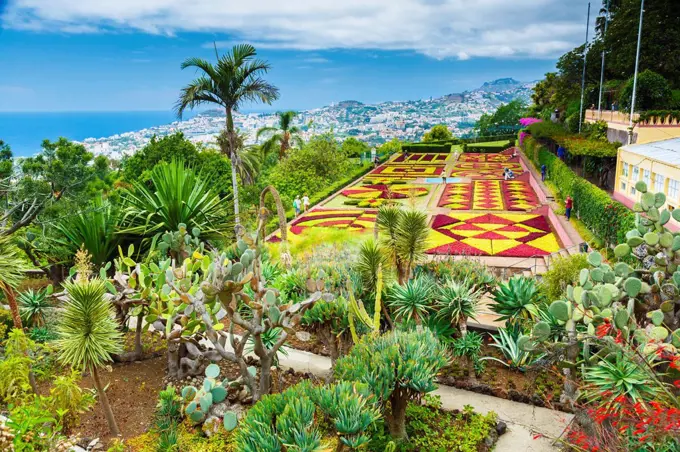 Madeira Botanical Gardens. Funchal. Madeira, Portugal, Europe.