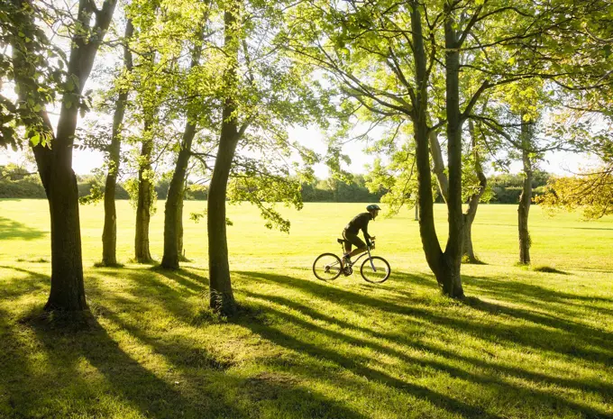 Billingham, north east England, UK. A mountain biker rides through Woodland in early morning sunshine.