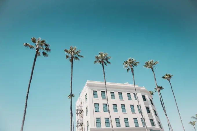 A line of tropical palm trees in front of an old hotel, turquoise sky, in La Jolla, California