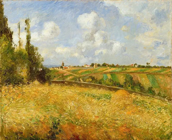 Camille Pissarro (1830 1903) field pontoise 1877.