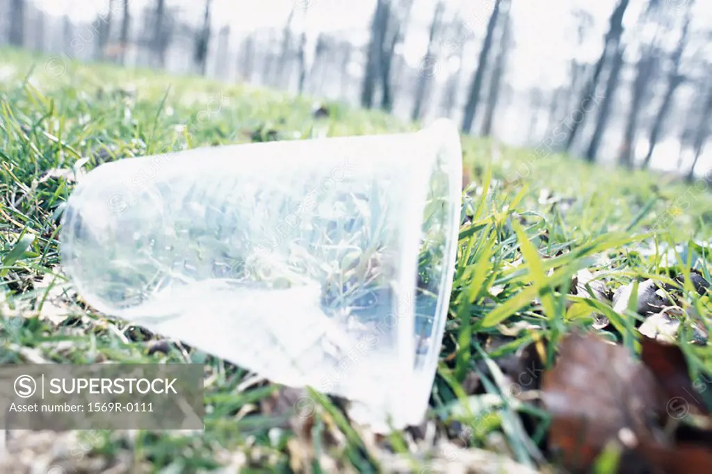 Plastic cup on grass
