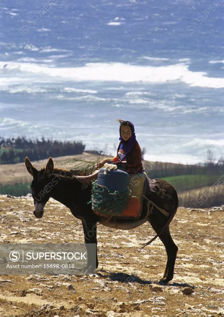Morocco, girl on donkey overlooking sea