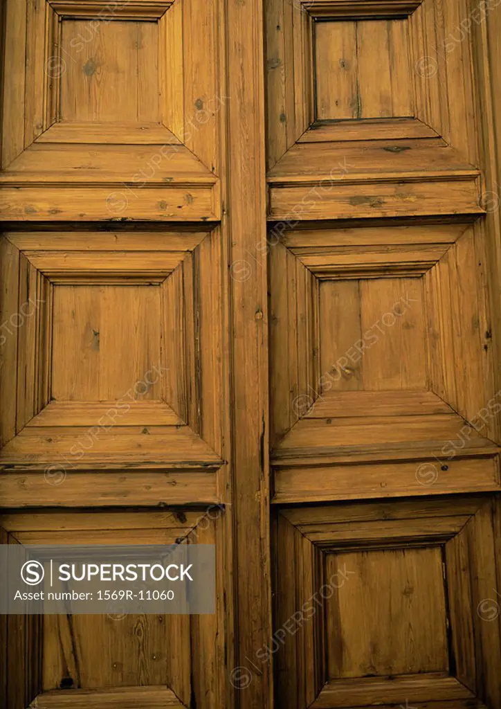 Paneled wooden door, full frame