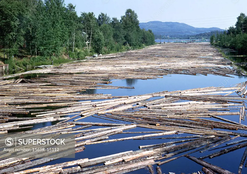 Finland, timber floating in river with trees on edge of river and mountain in background