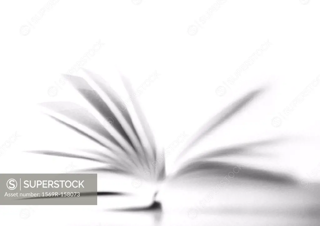 Open book, blurred, b&w