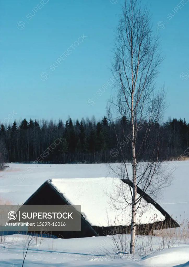 Finland, cabin half buried in snow