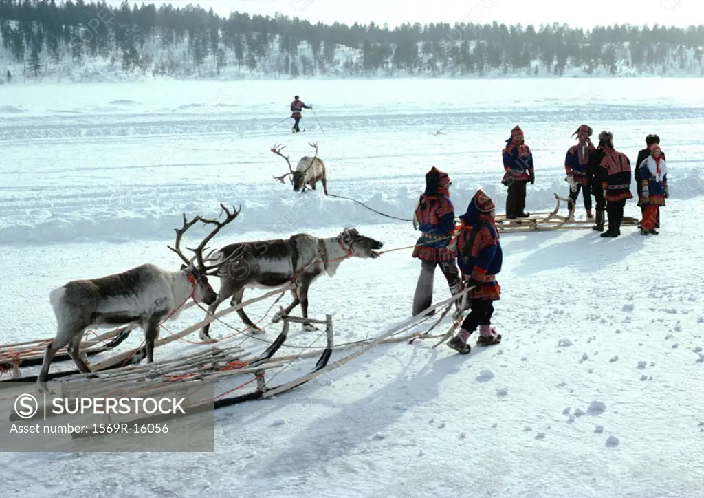 Finland, Saami with sleds and reindeer in snow
