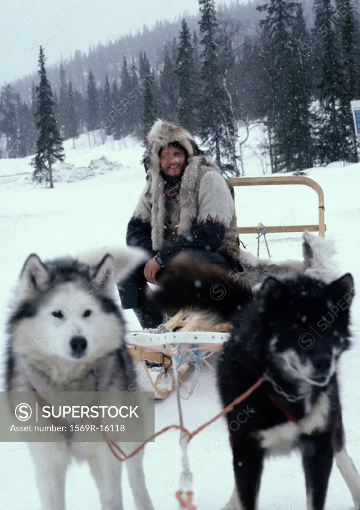 Sweden, man sitting on sled pulled by sled dogs