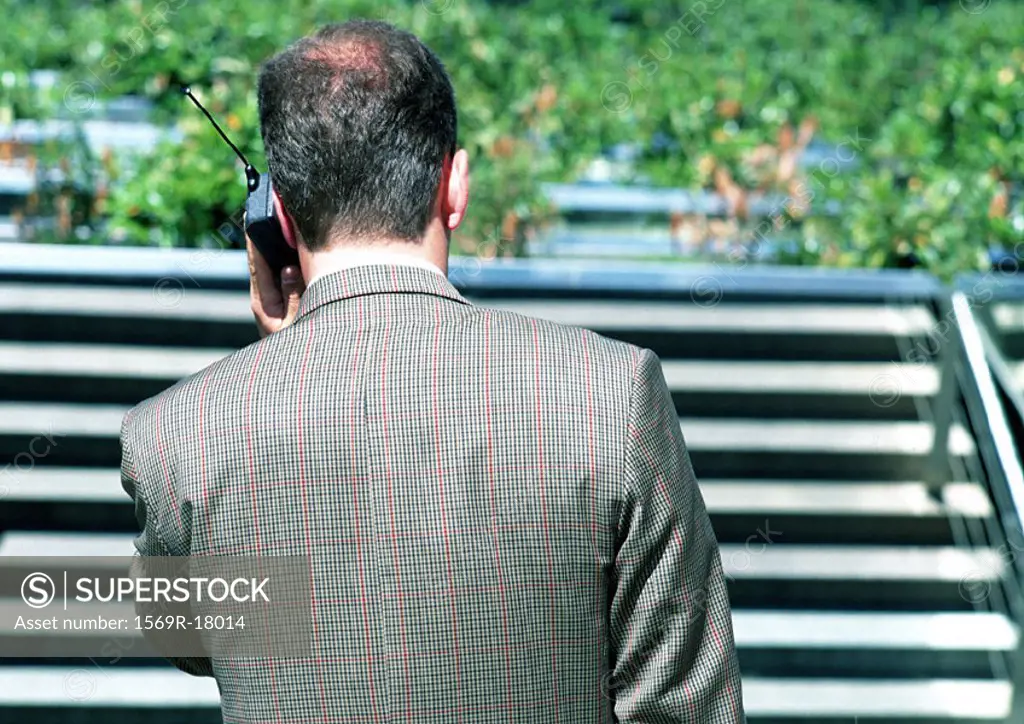 Businessman on cell phone, rear view