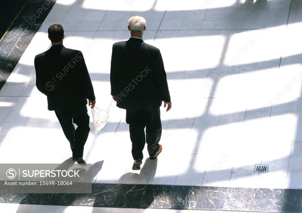 Businessmen walking together, view from above