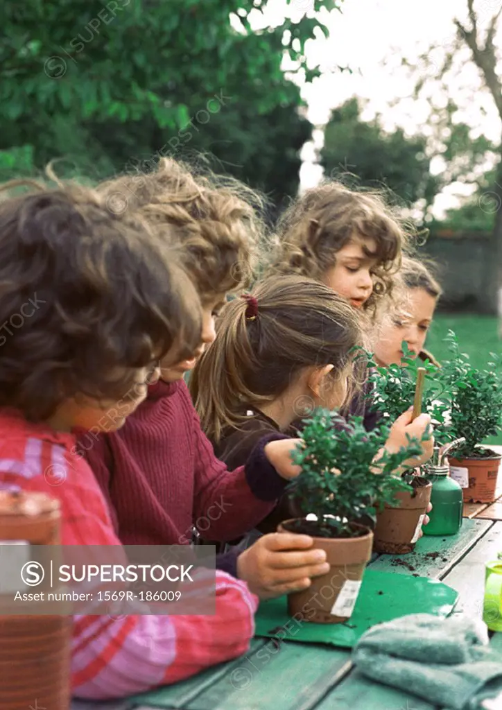 Children holding potted plants, outdoors, side view