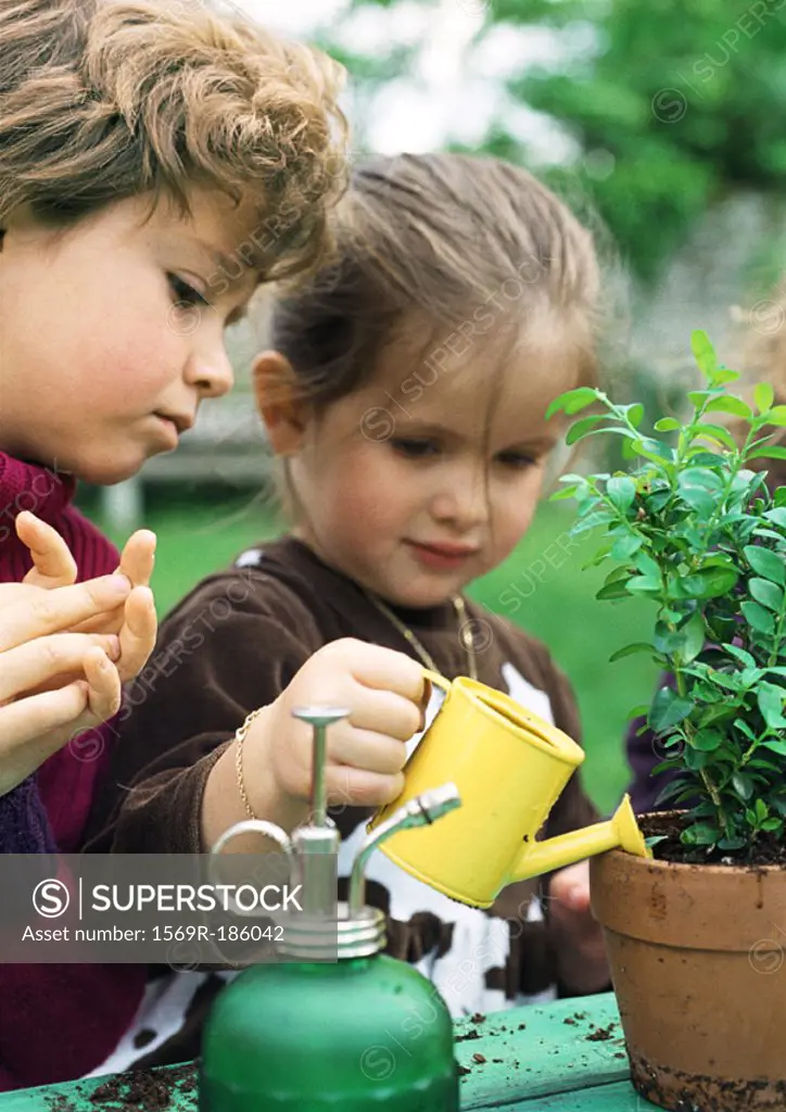 Two children watering plants, close-up