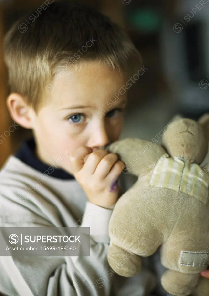 Child with thumb in mouth holding stuffed animal, portrait